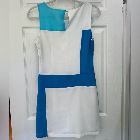 C. Luce Boutique Blue and White Shift Dress - Picture 5 of 8